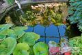 Property photo of 11 Golden Grove Cherrybrook NSW 2126