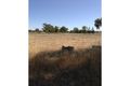 Property photo of 11 Range View Drive Jindera NSW 2642