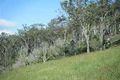Property photo of 13 Panoramic Drive Preston QLD 4352