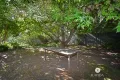 Property photo of 3/23 Green Street Wangaratta VIC 3677
