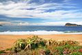 Property photo of 34 Coral Crescent Pearl Beach NSW 2256