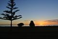 Property photo of 4 Marine Parade Kingston S.E. SA 5275