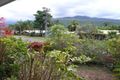 Property photo of 49 Moresby Street Trinity Beach QLD 4879