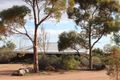 Property photo of LOT 21 Scenic Drive Napperby SA 5540