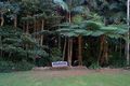 Property photo of 20 Long Road Tamborine Mountain QLD 4272
