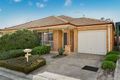 Property photo of 20 Elmtree Terrace Chadstone VIC 3148