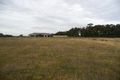Property photo of 50 Billabong Road Haddon VIC 3351