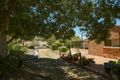 Property photo of 3 Harvey Court Glenvale QLD 4350