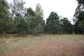 Property photo of 29 Dallys Road Railton TAS 7305
