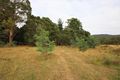Property photo of 29 Dallys Road Railton TAS 7305