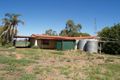 Property photo of 28 Armstrong Road Waikerie SA 5330