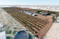 Property photo of 86 Nemesis Court Buckland Park SA 5120