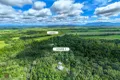 Property photo of 120 Davis Road Garradunga QLD 4860