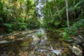 Property photo of 120 Davis Road Garradunga QLD 4860