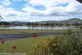Property photo of 31 Marwick Street Geneva NSW 2474