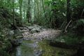 Property photo of 58-60 Cascades Drive Redlynch QLD 4870