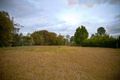 Property photo of 164 Investigator Avenue Cooloola Cove QLD 4580