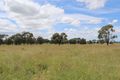 Property photo of 165 Cranston Road Alton Downs QLD 4702