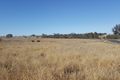 Property photo of 136 Depot Road Mount Tabor QLD 4370