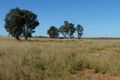 Property photo of 725 Peppertree Road Tocumwal NSW 2714
