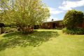Property photo of 40 Tyringham Road Dorrigo NSW 2453
