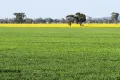 Property photo of 3497 Henry Lawson Way Ooma NSW 2871
