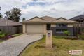 Property photo of 177 Bush Tucker Road Berrinba QLD 4117