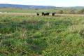 Property photo of 155 Crescent Orchard Road Gemalla NSW 2795