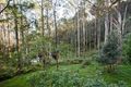 Property photo of 117 Sams Way Mountain Lagoon NSW 2758