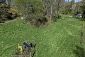 Property photo of 178 Broken Bridge Road Conondale QLD 4552