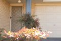 Property photo of 2/20 Conder Crescent Metford NSW 2323