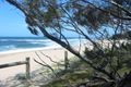 Property photo of 12 Stewart Way Shelly Beach QLD 4551