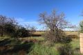 Property photo of 131 Clover Glen Road Kudla SA 5115