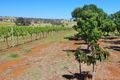 Property photo of 790 Maimuru Ss Road Maimuru NSW 2594