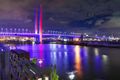 Property photo of 206 River Esplanade Docklands VIC 3008