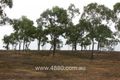 Property photo of 99 Rozel Close Mareeba QLD 4880
