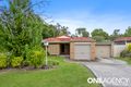 Property photo of 6 Ringtail Close Doolandella QLD 4077