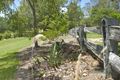 Property photo of 425-429 Eumundi Range Road Eumundi QLD 4562