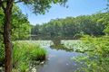 Property photo of 47 Bunderra Way Cooran QLD 4569