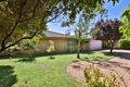 Property photo of 63 Jamieson Avenue Red Cliffs VIC 3496