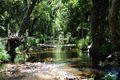 Property photo of 28 Woods Road Closeburn QLD 4520