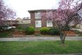 Property photo of 10 Aminya Court Wantirna VIC 3152