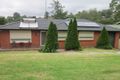 Property photo of 31 Uralba Street Figtree NSW 2525