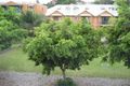Property photo of 19/1 Foy Street Balmain NSW 2041