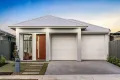 Property photo of 13 Allambee Avenue Edwardstown SA 5039