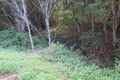 Property photo of 34 Thomas Waters Road Tallebudgera Valley QLD 4228