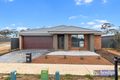 Property photo of 20 Eucalyptus Street Jackass Flat VIC 3556