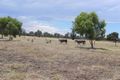 Property photo of 989 Brand Highway Muchea WA 6501