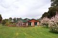 Property photo of 19 Edward Street Somerset TAS 7322