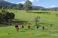 Property photo of 565 Ridge Road Humevale VIC 3757